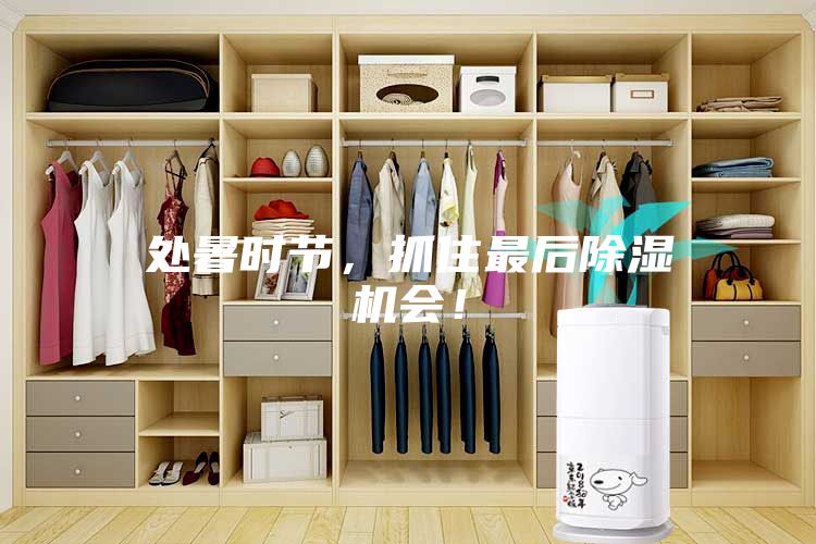 處暑時節，抓住最后除濕機會！