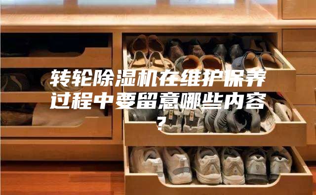 轉輪除濕機在維護保養過程中要留意哪些內容？