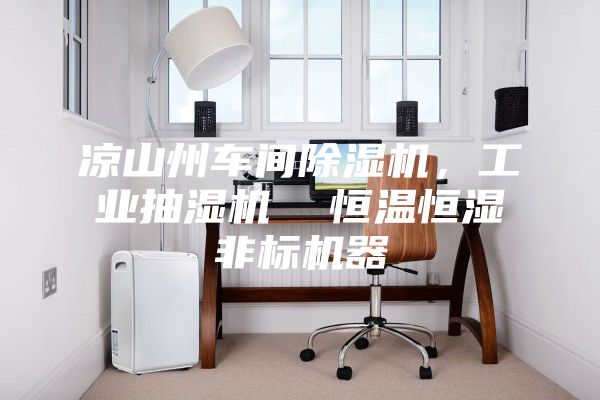 涼山州車間除濕機，工業抽濕機  恒溫恒濕非標機器