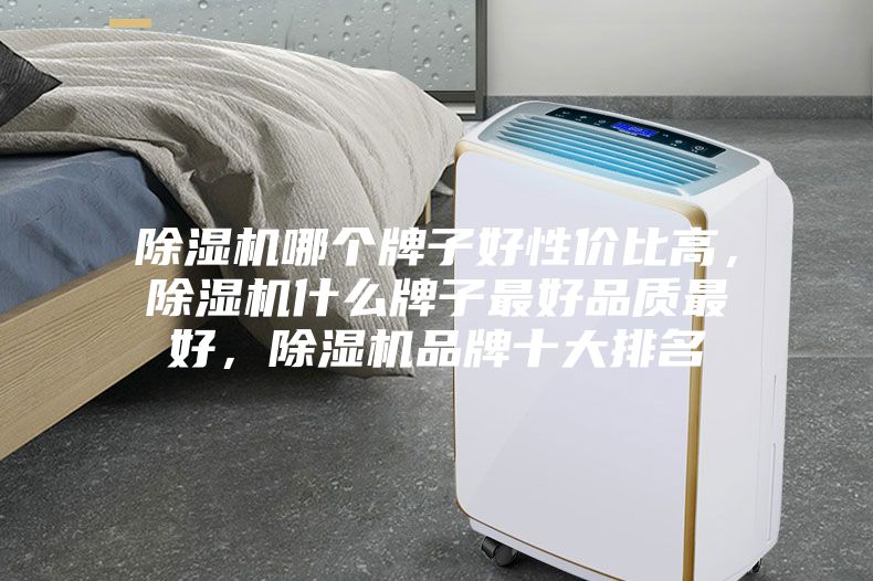 除濕機哪個牌子好性價比高，除濕機什么牌子最好品質最好，除濕機品牌十大排名