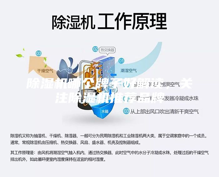 除濕機哪個牌子好解讀，關注除濕機推薦品牌