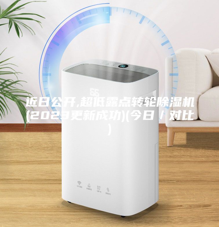 近日公開,超低露點轉輪除濕機(2023更新成功)(今日／對比)