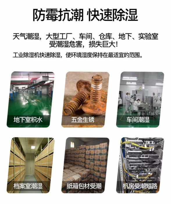 確認過眼神，是對的除濕機