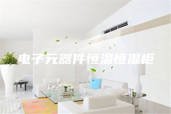電子元器件恒溫恒濕柜