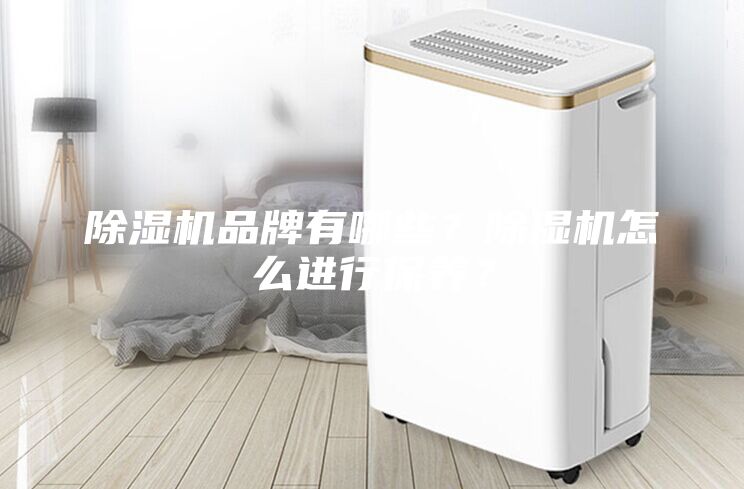 除濕機品牌有哪些？除濕機怎么進行保養？