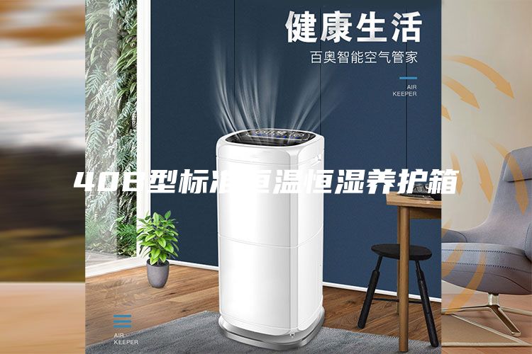 40B型標準恒溫恒濕養(yǎng)護箱