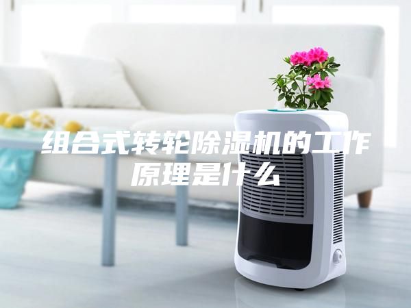 組合式轉(zhuǎn)輪除濕機的工作原理是什么