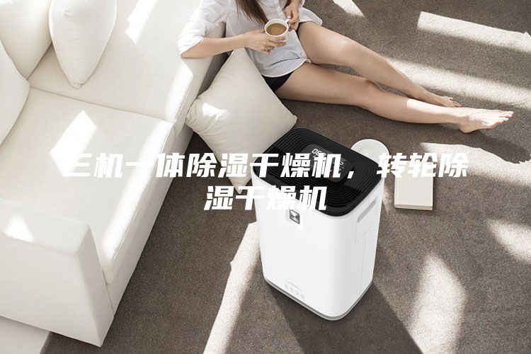 三機一體除濕干燥機，轉(zhuǎn)輪除濕干燥機
