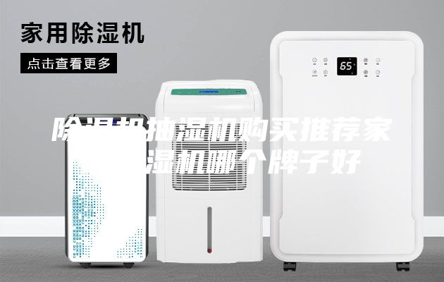 除濕機(jī)抽濕機(jī)購(gòu)買推薦家用除濕機(jī)哪個(gè)牌子好