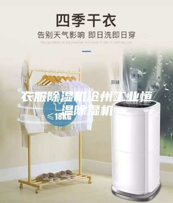 衣服除濕機滄州工業恒溫除濕機