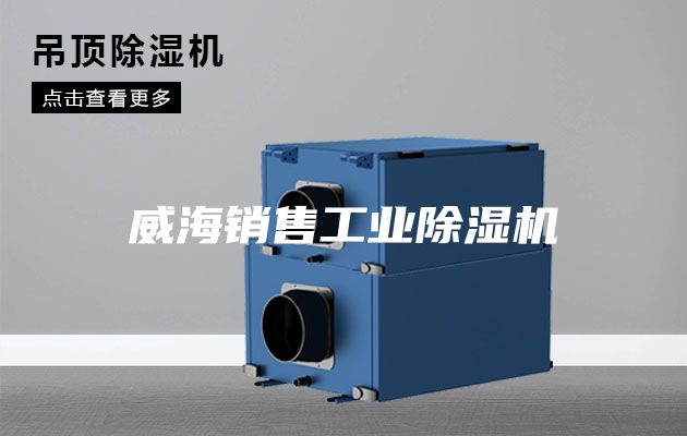 威海銷售工業除濕機