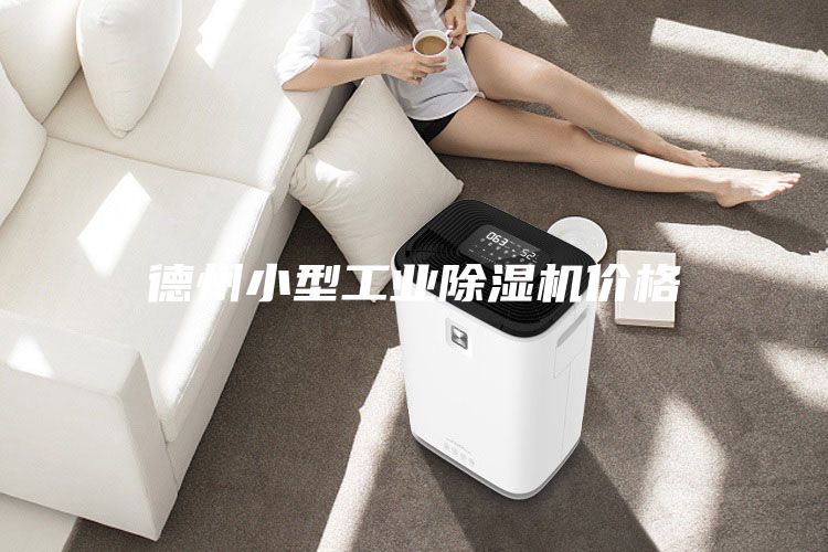 德州小型工業除濕機價格