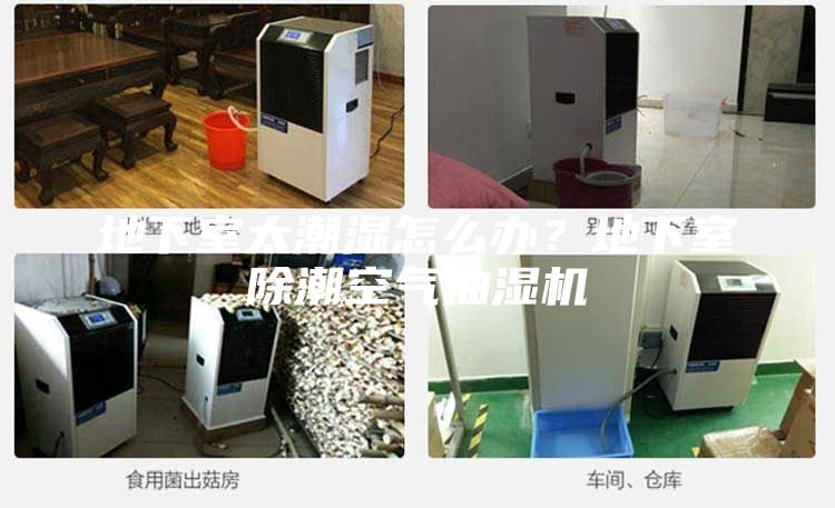 地下室太潮濕怎么辦？地下室除潮空氣抽濕機(jī)