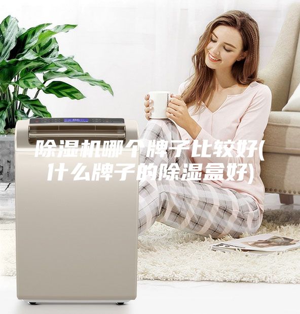除濕機(jī)哪個(gè)牌子比較好(什么牌子的除濕盒好)